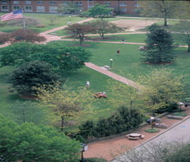 southern new hampshire uni,Location and Campus