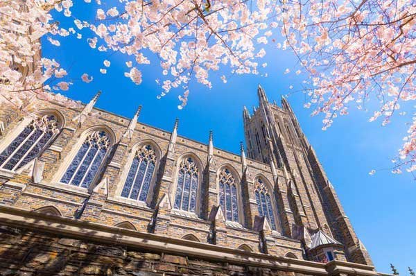 duke uni,Duke Uni: A Comprehensive Overview