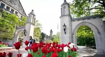 southern methodist uni,Location and Campus