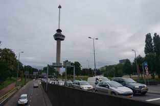 rotterdam erasmus uni,History and Background