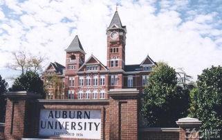 auburn uni,History and Background