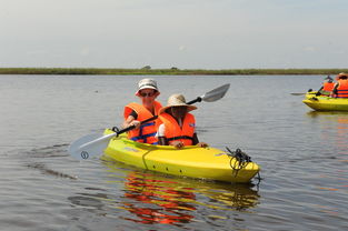 kayak princeton uni,Kayak Princeton Uni: A Comprehensive Guide