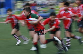 uni norths owls junior rugby,Discovering the Thrills of Uni Norths Owls Junior Rugby