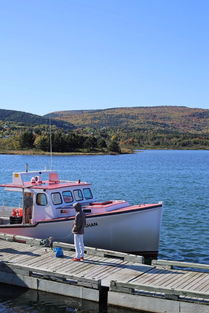 cape breton uni,Cape Breton University: A Comprehensive Overview